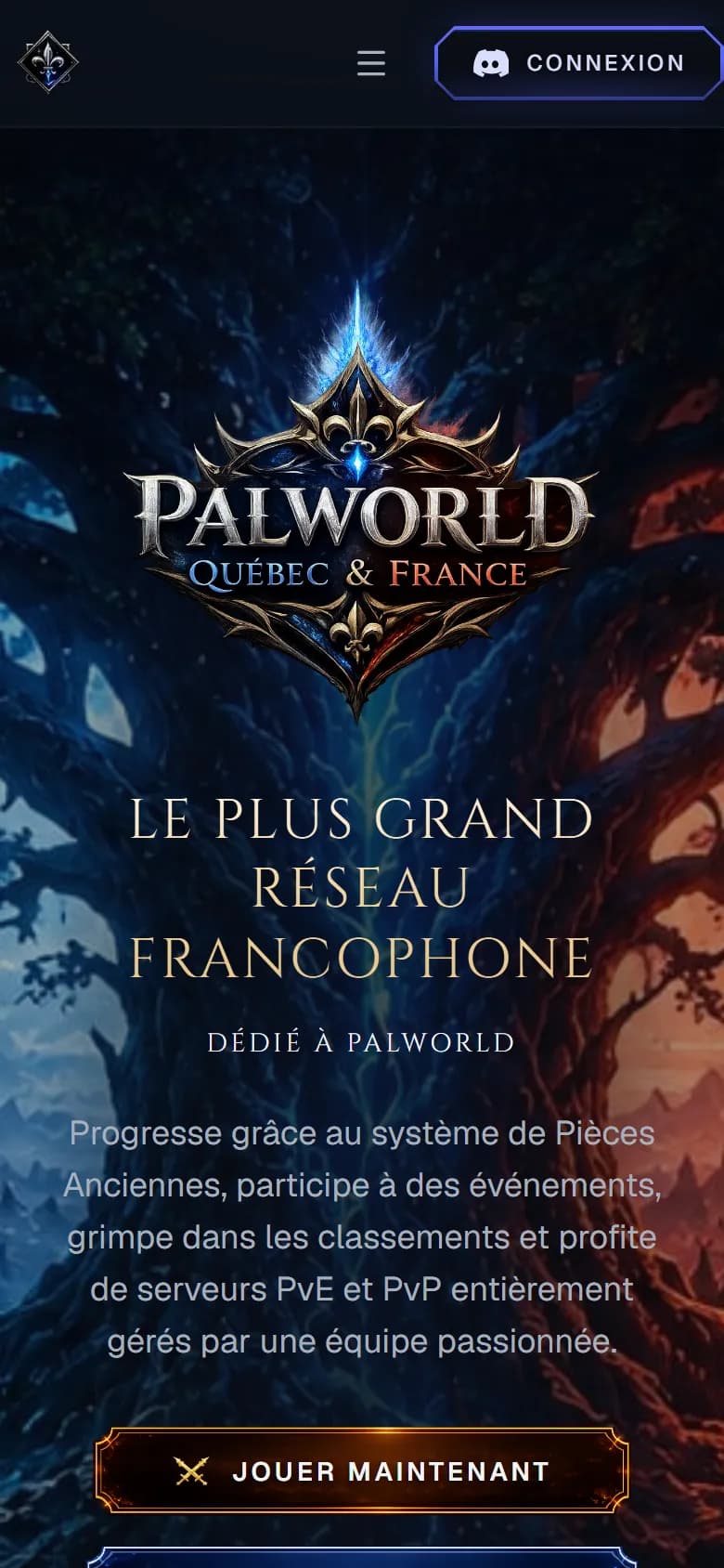 Le site sur téléphone